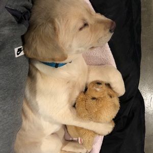 Meet your Posher, Alyson